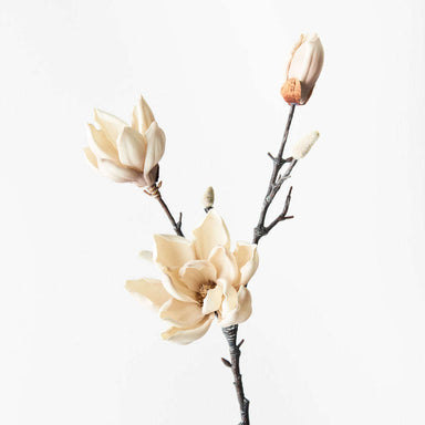 Impodimo Living & Giving:Japanese Magnolia Spray - Cream:Floral