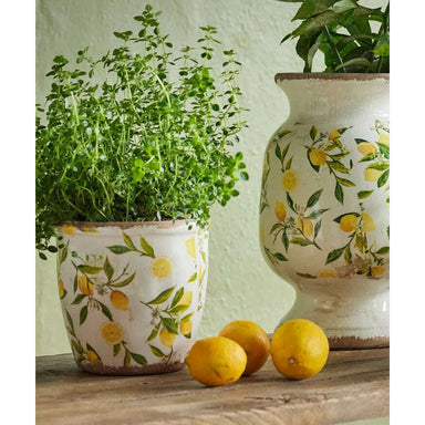 Impodimo Living & Giving:Botanical Lemon Pot:French Country Collections