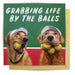 Impodimo Living & Giving:By The Balls:La La Land