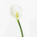 Impodimo Living & Giving:Calla Lilly - White:Floral