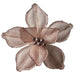 Impodimo Living & Giving:Clip On Magnolia - Soft Pink Champagne Centre:Swing Gifts