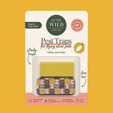 Impodimo Living & Giving:Compostable Gnat Traps:We The Wild