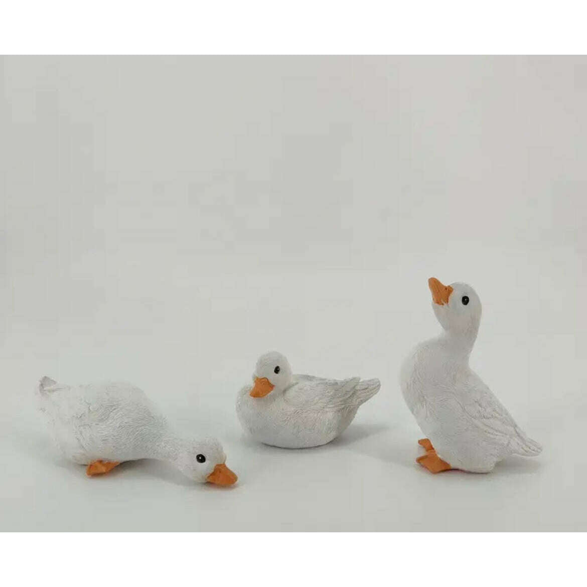 Impodimo Living & Giving:Daisy Ducks:Swing Gifts