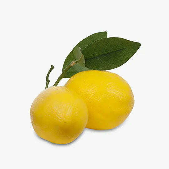 Impodimo Living & Giving:Lemon Cluster With Leaf:Floral