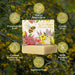 Impodimo Living & Giving:Nectar Blossom And Manuka Honey Soap Bar:La La Land