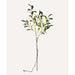 Impodimo Living & Giving:Olive Branch with Lights:French Country Collections