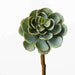 Impodimo Living & Giving:Succulent - Grey Mauve:Floral