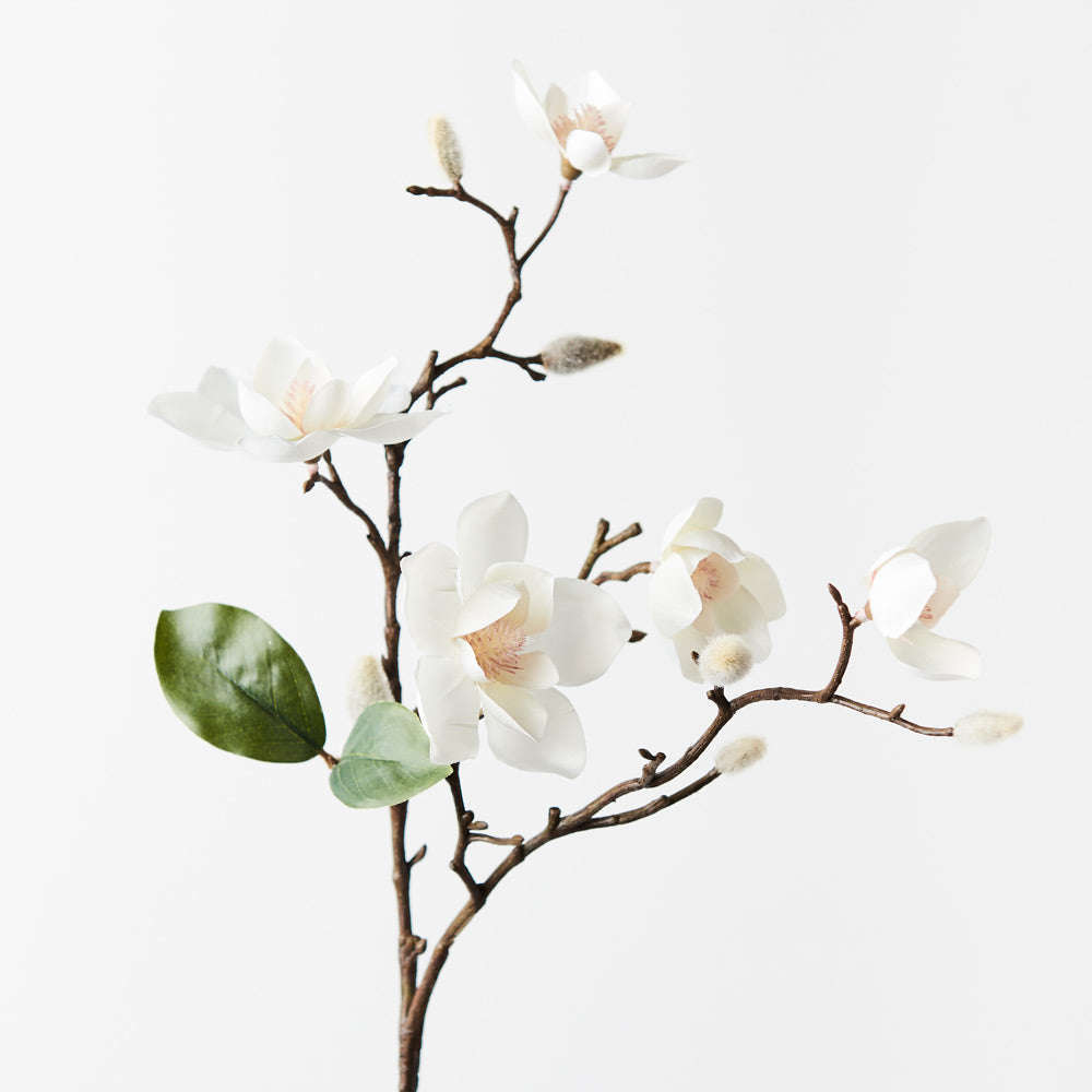Japanese Magnolia Spray
