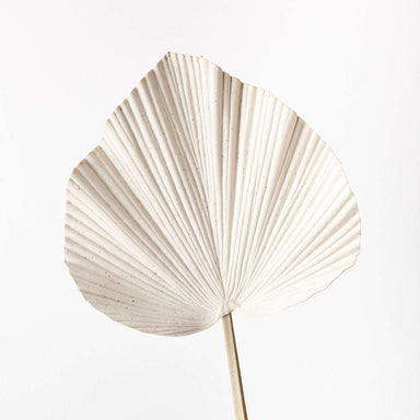 Impodimo Living & Giving:Palm Fan - Ivory:Floral