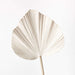 Impodimo Living & Giving:Palm Fan - Ivory:Floral