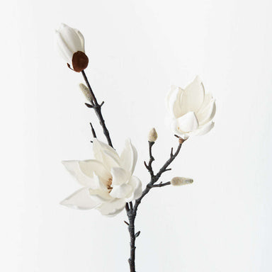 Impodimo Living & Giving:Japanese Magnolia Spray - White:Floral