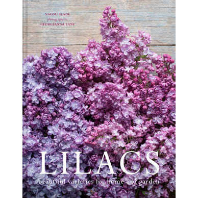 Lilacs - Beautiful Varieties For Home And Garden